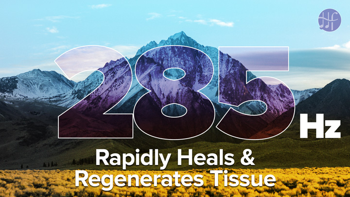Rapidly Heals & Regenerates Tissue