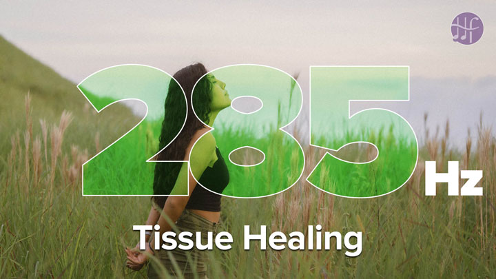 Tissue Healing