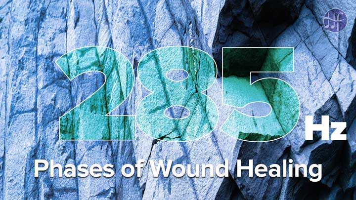 Phases of Wound Healing